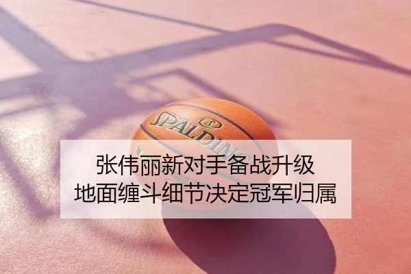 张伟丽新对手备战升级 地面缠斗细节决定冠军归属